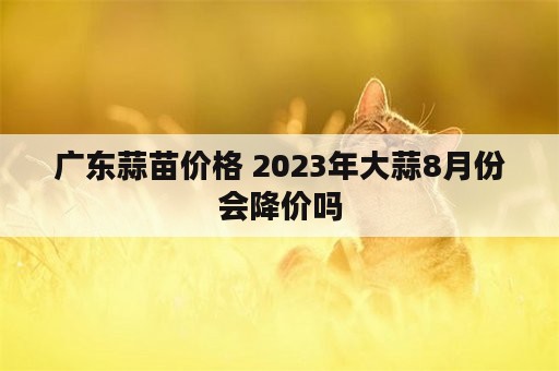 广东蒜苗价格 2023年大蒜8月份会降价吗