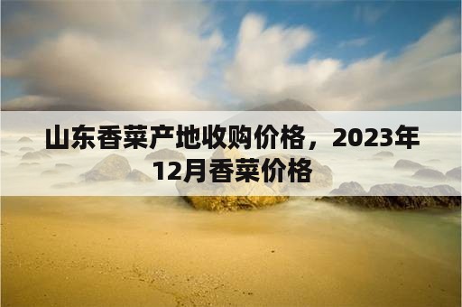 山东香菜产地收购价格，2023年12月香菜价格