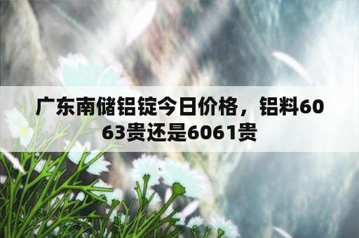 广东南储铝锭今日价格，铝料6063贵还是6061贵