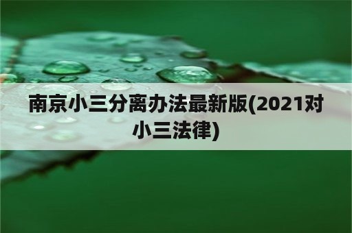 南京小三分离办法最新版(2021对小三法律)
