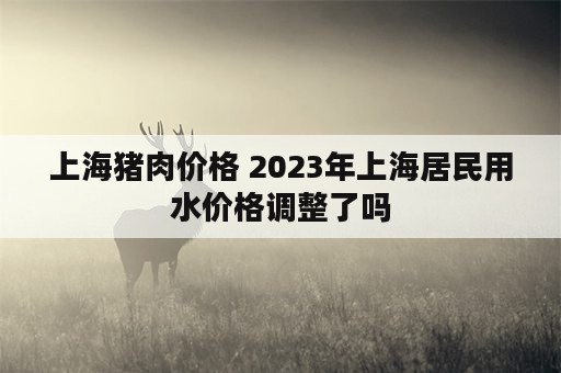 上海猪肉价格 2023年上海居民用水价格调整了吗