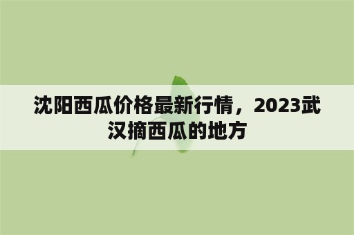 沈阳西瓜价格最新行情，2023武汉摘西瓜的地方