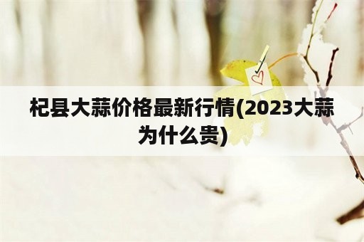 杞县大蒜价格最新行情(2023大蒜为什么贵)