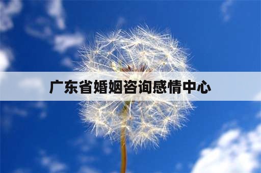 广东省婚姻咨询感情中心