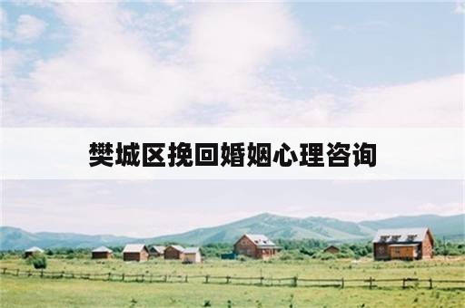 樊城区挽回婚姻心理咨询