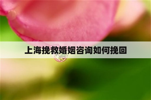 上海挽救婚姻咨询如何挽回