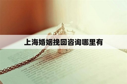 上海婚姻挽回咨询哪里有