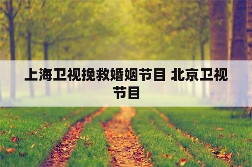 上海卫视挽救婚姻节目 北京卫视节目