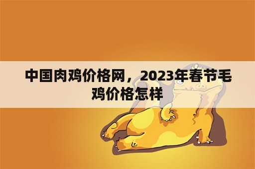 中国肉鸡价格网，2023年春节毛鸡价格怎样